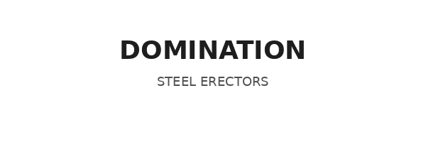 Domination Steel logo